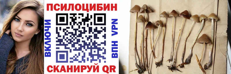 Галлюциногенные грибы прущие грибы  Чухлома 